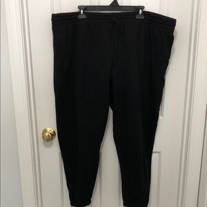 Terra and Skye Womens Plus Black Jogger Pants
